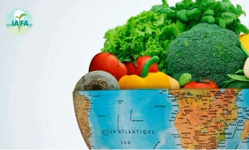 പട്ടിണിക്കാർ പെരുകുന്നു; ലോക ഭക്ഷ്യ ദിനത്തിൽ ആശങ്ക അറിയിച്ച് യു.എൻ സെക്രട്ടറി ജനറൽ