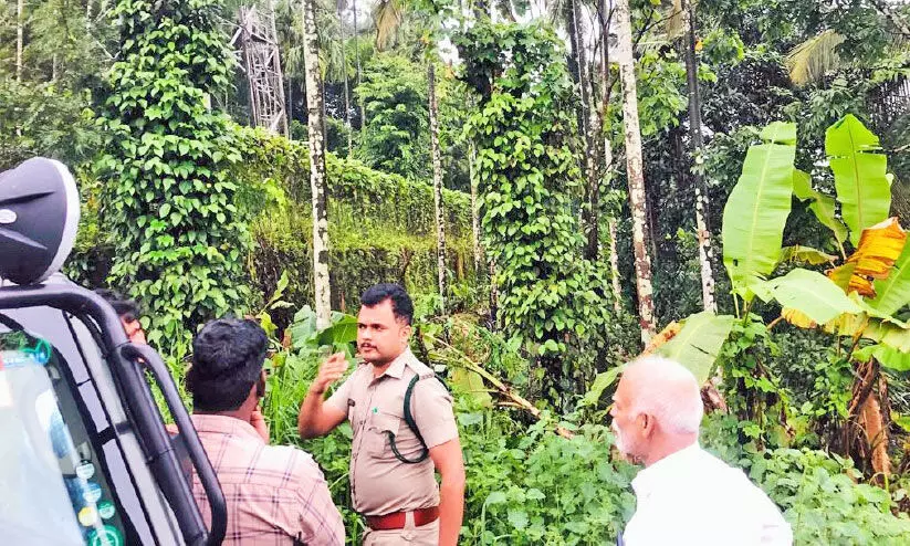 wild animal attack wild animal attack