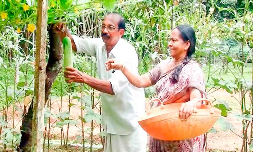 Teacher couples new lesson in organic vegetable farming Teacher couples new lesson in organic vegetable farming