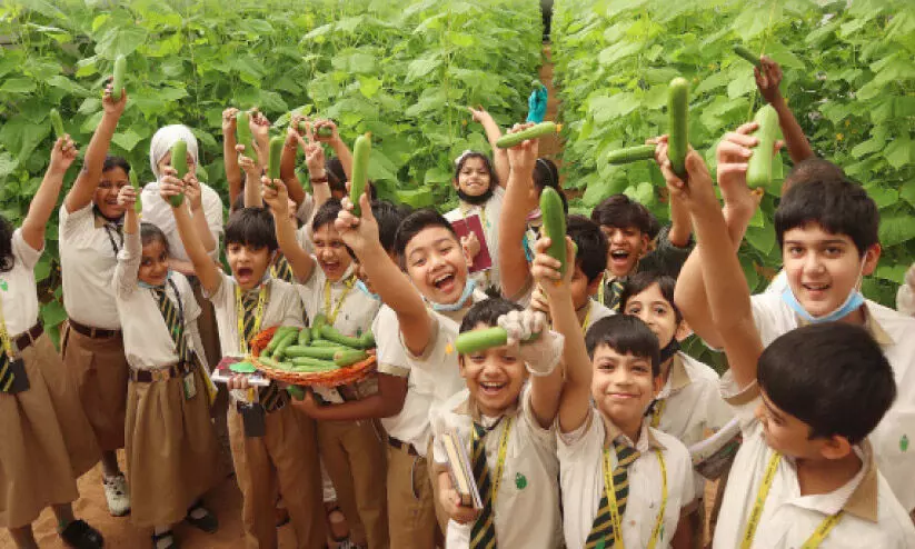 വിളവിന്റെ പാഠങ്ങളൊരുക്കി അജ്മാൻ ഹാബിറ്റാറ്റ് സ്കൂള് വിളവിന്റെ പാഠങ്ങളൊരുക്കി അജ്മാൻ ഹാബിറ്റാറ്റ് സ്കൂള്