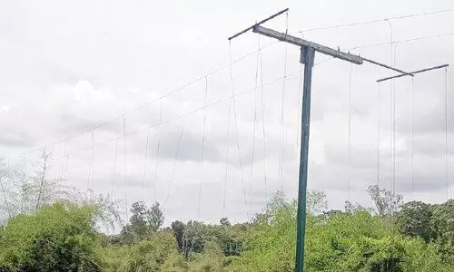 വൈദ്യുതി നിലക്കുന്നു; വന്യജീവികളെ പ്രതിരോധിക്കാനാകാതെ തൂക്കുവേലികൾ
