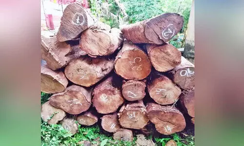 Cross-border logging; Warning