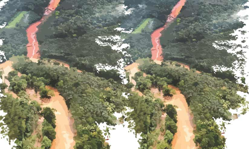 ഉള്ളുലഞ്ഞ ഒാർമകളിൽ: ദുരന്തം കവർന്നവരെ അനുസ്​മരിച്ച്​ കൂട്ടിക്കൽ പഞ്ചായത്ത്