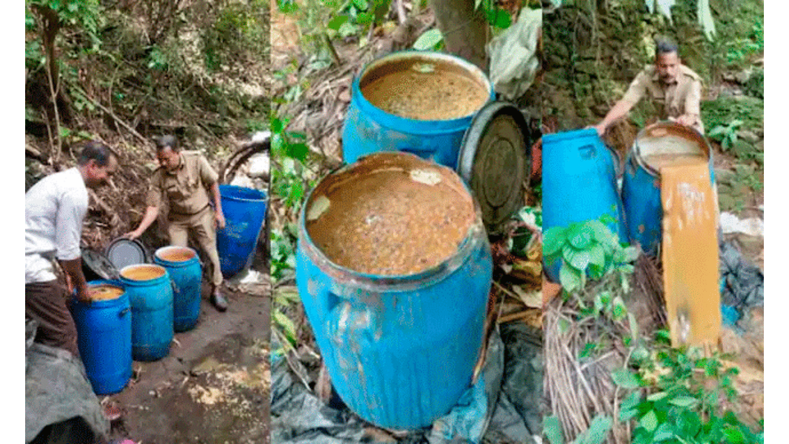 വ്യാജ വാറ്റുകേന്ദ്രങ്ങൾ എക്സൈസ് കണ്ടെത്തി; 940 ലിറ്റർ വാഷ് നശിപ്പിച്ചു