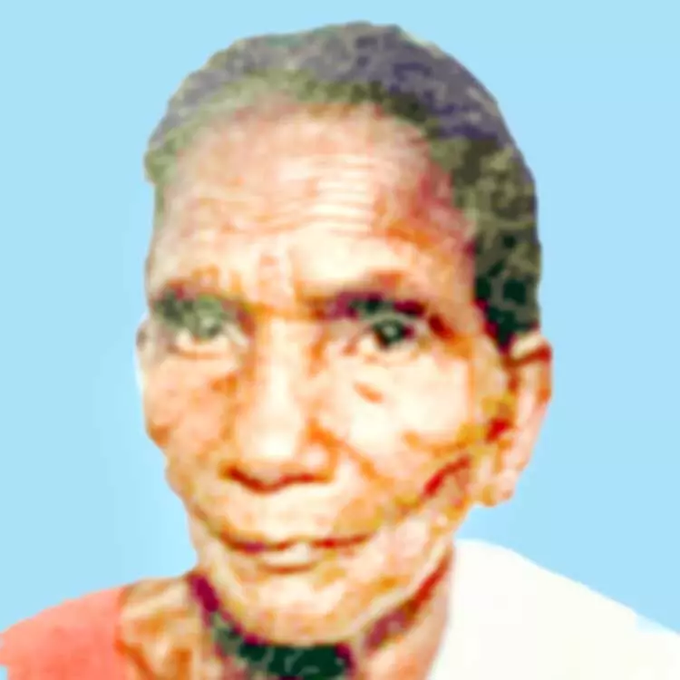 കാ​ളി​ക്കു​ട്ടി