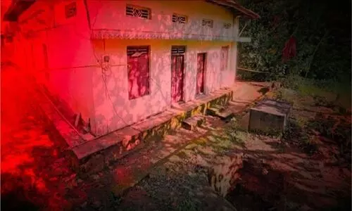 elanthur home 9069889 elanthur home 9069889