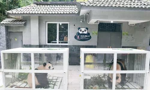 വിശിഷ്ടാതിഥികൾ ഇന്ന് ഖത്തറിലെത്തും; യാത്രയയച്ച് ചൈന