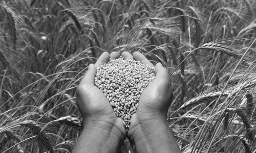 അ​ന്താ​രാ​ഷ്​​ട്ര കാ​ർ​ഷി​ക സ​മ്മേ​ള​ന​ത്തി​ൽ ബ​ഹ്​​റൈ​ൻ പ​​ങ്കെ​ടു​ത്തു