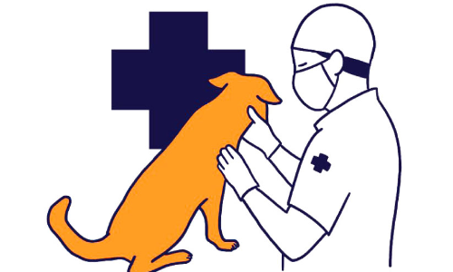 മൃ​ഗാ​ശു​പ​ത്രി​ക​ൾ കേ​ന്ദ്രീ​ക​രി​ച്ച് തെ​രു​വു​നാ​യ് വ​ന്ധ്യം​ക​ര​ണം; അ​ന്തി​മ തീ​രു​മാ​നം ത​ദ്ദേ​ശ   സ്ഥാ​പ​ന ഭ​ര​ണ​സ​മി​തി​ക​ൾ​ക്ക്