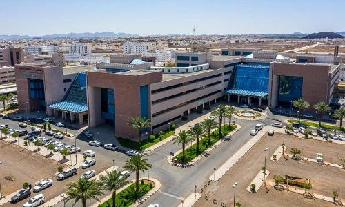 സൗദി അറേബ്യയിൽ വിഷാദരോഗ ചികിത്സയ്ക്കുള്ള ആദ്യ മസ്തിഷ്ക ശസ്ത്രക്രിയ വിജയകരം