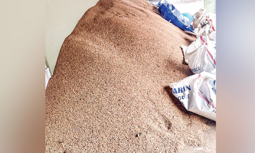 സംഭരണം ഇഴയുന്നു; ആശങ്കയിൽ കർഷകർ