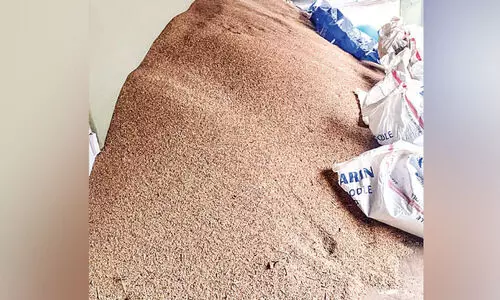 സംഭരണം ഇഴയുന്നു; ആശങ്കയിൽ കർഷകർ