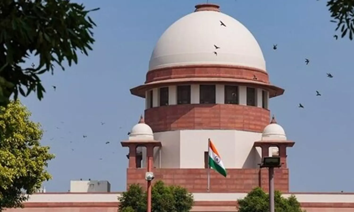 No urgent SC hearing on Delhi cracker ban