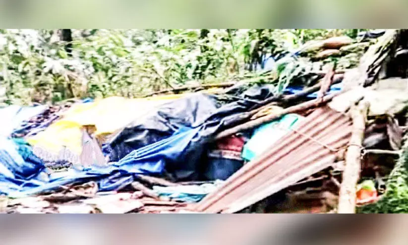 ചവിട്ടിമെതിച്ച് കാട്ടാനക്കൂട്ടം; ഉറക്കം നഷ്ടപ്പെട്ട് ആദിവാസികൾ ചവിട്ടിമെതിച്ച് കാട്ടാനക്കൂട്ടം; ഉറക്കം നഷ്ടപ്പെട്ട് ആദിവാസികൾ