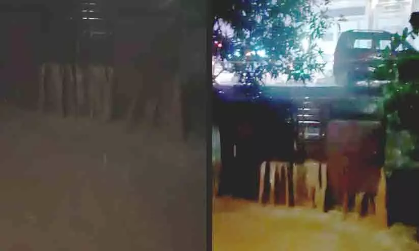 ദേശീയപാത വികസനം: കനത്ത മഴയിൽ മണ്ണും ചെളിയും സമീപത്തെ വീടുകളിലേക്ക് ദേശീയപാത വികസനം: കനത്ത മഴയിൽ മണ്ണും ചെളിയും സമീപത്തെ വീടുകളിലേക്ക്