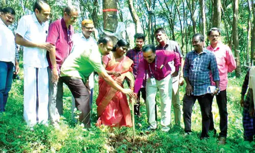 ഗ്രീൻഫീൽഡ് ഹൈവേ; കരുവാരകുണ്ടിൽ കല്ലിടൽ തുടങ്ങി ഗ്രീൻഫീൽഡ് ഹൈവേ; കരുവാരകുണ്ടിൽ കല്ലിടൽ തുടങ്ങി