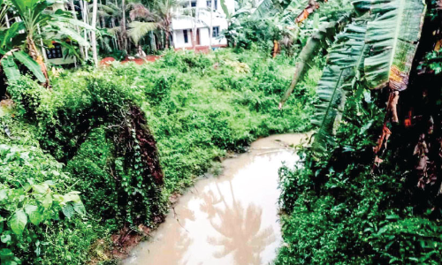 നീരൊഴുക്ക് നിലച്ചു; വലിയോറ തോട് നവീകരിക്കണമെന്ന്​ ആവശ്യം