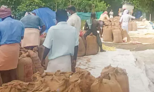 ആശ്വാസമായി ഓയിൽപാം; ഒത്തുതീർപ്പ്​ നീണ്ടാൽ​ പ്രതിസന്ധി