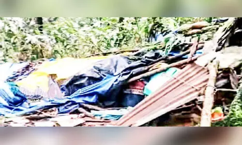 ചവിട്ടിമെതിച്ച് കാട്ടാനക്കൂട്ടം; ഉറക്കം നഷ്ടപ്പെട്ട് ആദിവാസികൾ