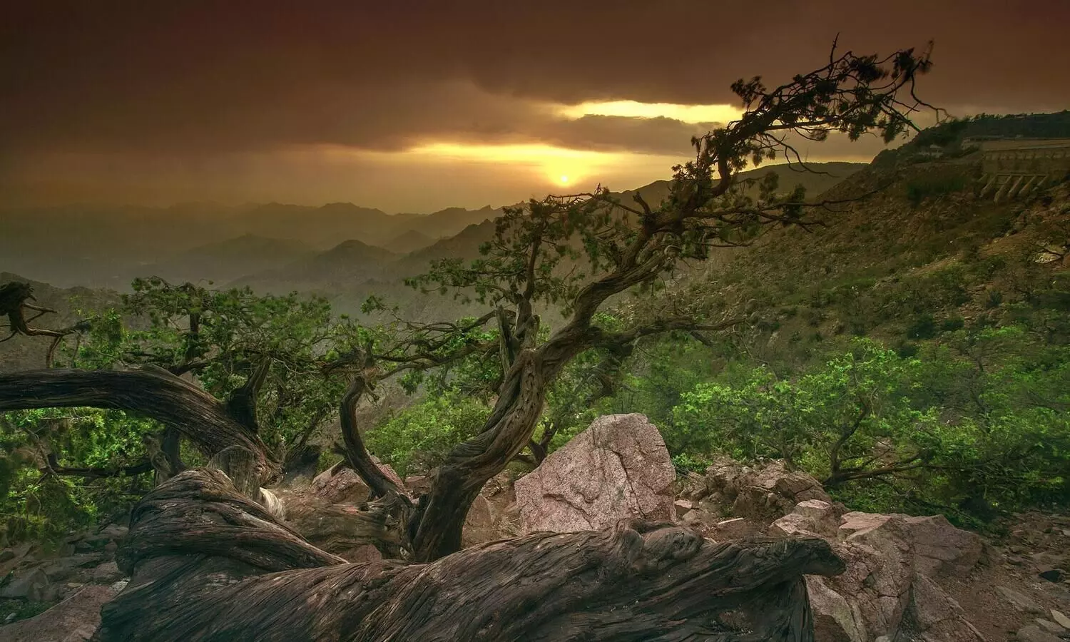 മനംനിറയ്ക്കുന്ന താഇഫ് നഗരം..