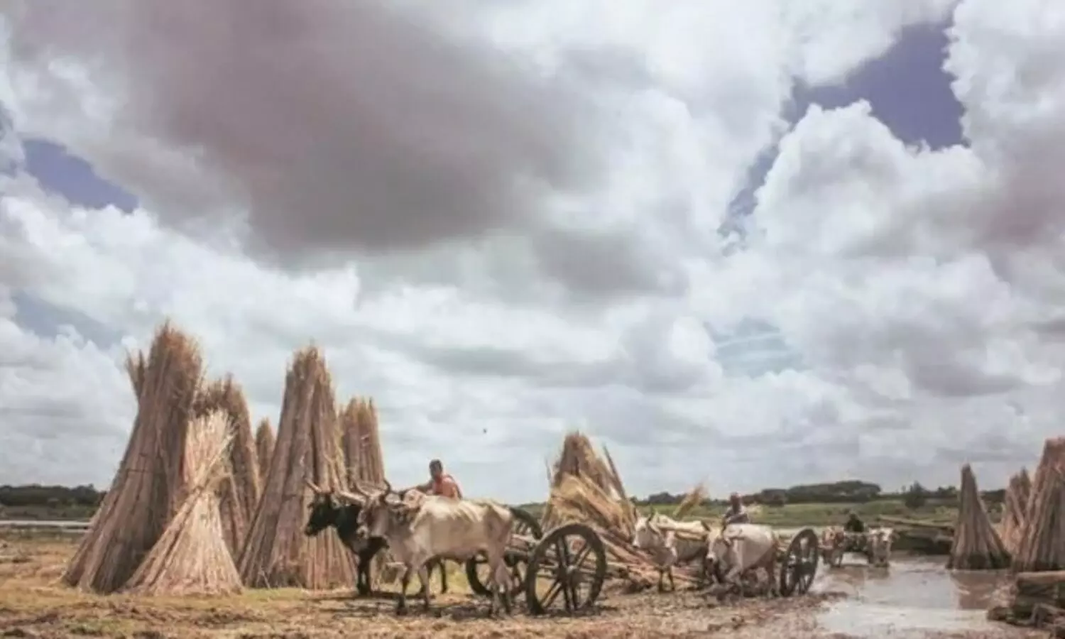 ഭൂദാൻ ആന്ദോളനിൽ കിട്ടിയ 1.60 ലക്ഷം ഏക്കർ ഭൂമി വിതരണം ​ചെയ്യാനൊരുങ്ങി ബിഹാർ