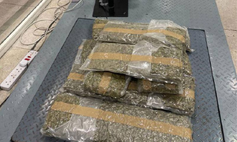 ദുബൈ വിമാനത്താവളത്തിൽ 12.5 കിലോ കഞ്ചാവ് പിടികൂടി ദുബൈ വിമാനത്താവളത്തിൽ 12.5 കിലോ കഞ്ചാവ് പിടികൂടി