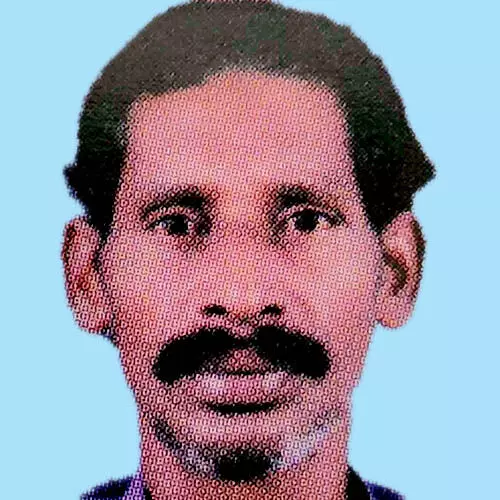 വി​ൽ​സ​ൺ