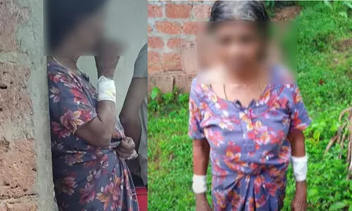 drug addict crime drug addict crime