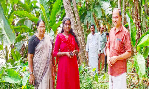 പെരുമണ്ണ ചാലിയാർ തീരത്തെ കൈയേറ്റം ഒഴിപ്പിക്കാനൊരുങ്ങി പഞ്ചായത്ത്