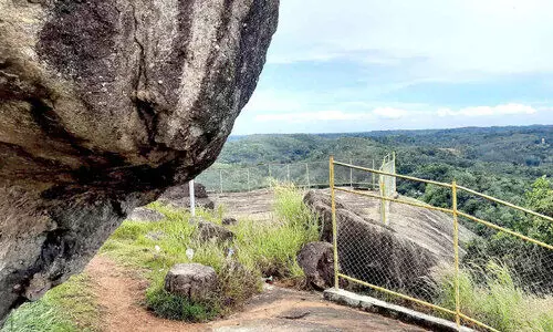 മരുതിമലയിൽ മൂന്ന് ഹെക്ടർ ഭൂമി സ്വകാര്യ വ്യക്തികളുടേതെന്ന് റവന്യൂ വകുപ്പ്