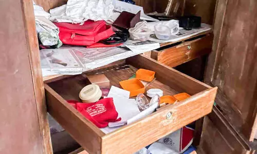 thieves on the loose