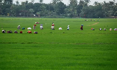 Development council in Kuttanad