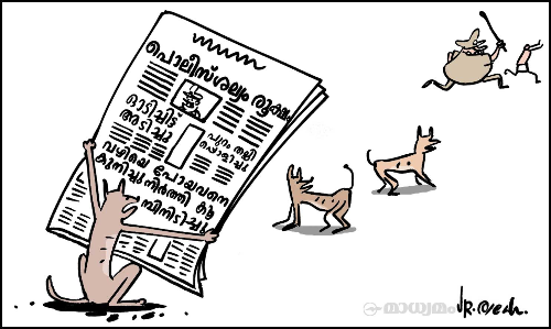 പൊലീസ് ശല്യം രൂക്ഷം