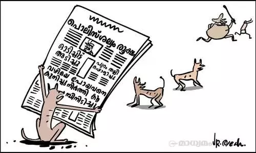 പൊലീസ് ശല്യം രൂക്ഷം