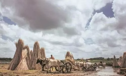 ഭൂദാൻ ആന്ദോളനിൽ കിട്ടിയ 1.60 ലക്ഷം ഏക്കർ ഭൂമി വിതരണം ​ചെയ്യാനൊരുങ്ങി ബിഹാർ