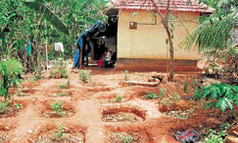 koraga colony koraga colony