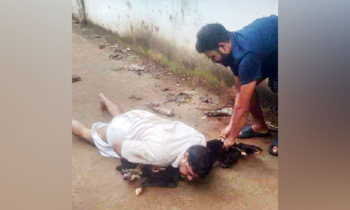 കടിച്ച നായെ കീഴ്പെടുത്തി യുവാവ്