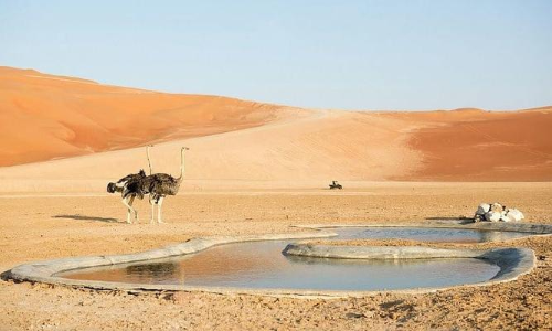 സസ്യജന്തുജാലങ്ങളെ സംരക്ഷിക്കാനായി 10 സ്ഥലങ്ങൾ കണ്ടെത്തി അരംകോ