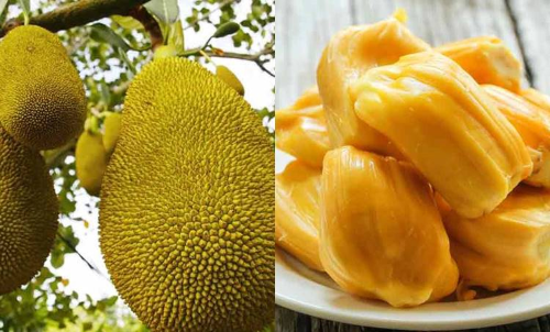 പഴങ്ങളില്‍ നിന്ന് വീര്യം കുറഞ്ഞ മദ്യം: യൂനിറ്റുകൾ തുടങ്ങാൻ ചട്ടം നിലവിൽവന്നുവെന്ന് എം.ബി രാജേഷ്