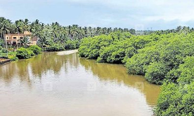 pullipuzha pullipuzha