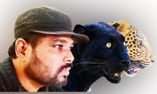 ഡോക്ടർ ലവ്...