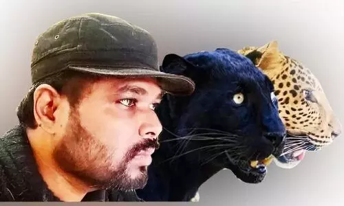 ഡോക്ടർ ലവ്...