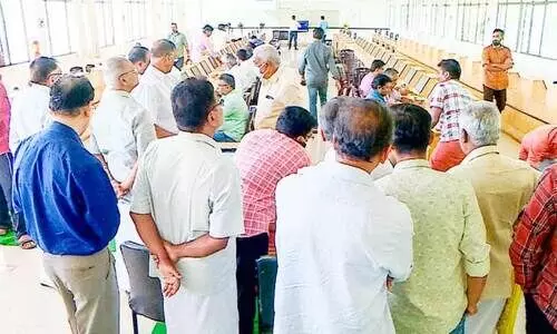 cardamom e auction begins cardamom e auction begins