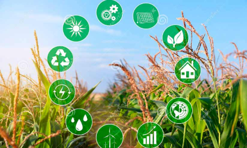 കാര്‍ഷിക സെന്‍സസ് നവംബറില്‍ തുടങ്ങും;  307 എന്യൂമറേറ്റര്‍മാരെ നിയമിച്ചു