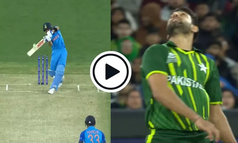 virat kohli 8956 virat kohli 8956