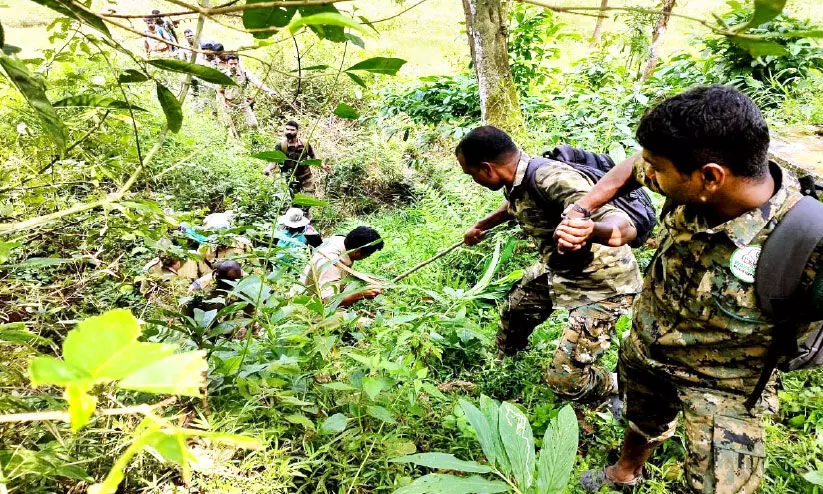ചീരാലിലെ കടുവ: കേരള-തമിഴ്നാട് ഡി.എഫ്.ഒമാരുടെ യോഗം വിളിച്ചുചേർക്കും ചീരാലിലെ കടുവ: കേരള-തമിഴ്നാട് ഡി.എഫ്.ഒമാരുടെ യോഗം വിളിച്ചുചേർക്കും