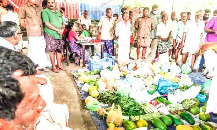 കാർഷിക കൂട്ടായ്മ​യു​ടെ വിജയഗാഥയുമായി വള്ളികുന്നം