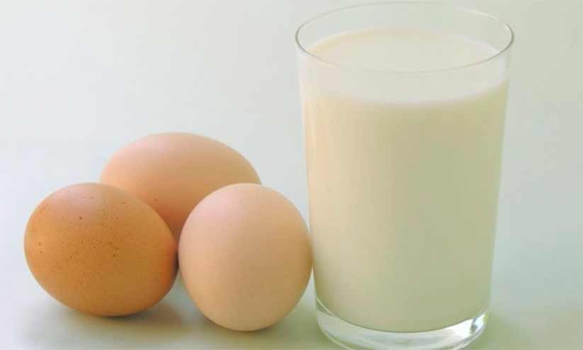 School children should be given milk and eggs School children should be given milk and eggs
