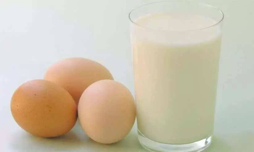 School children should be given milk and eggs School children should be given milk and eggs