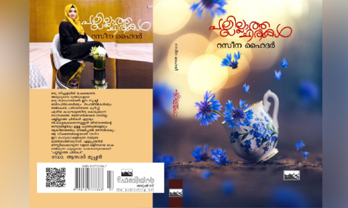 raseena haider raseena haider